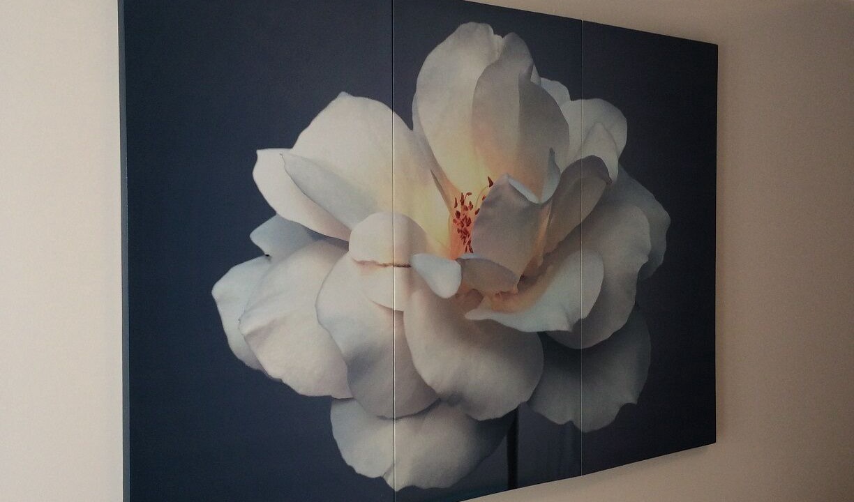 Photo of Bedroom in Sao Bento