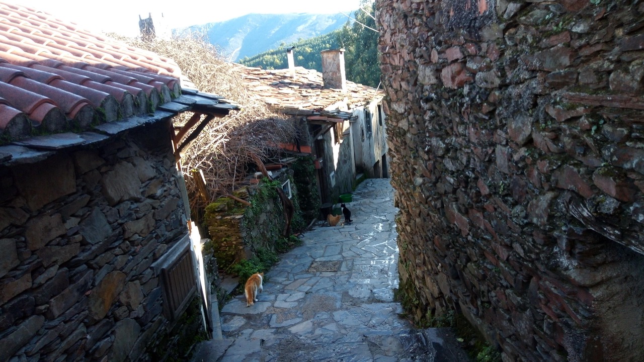 Photo of Outdoor in Lousa
