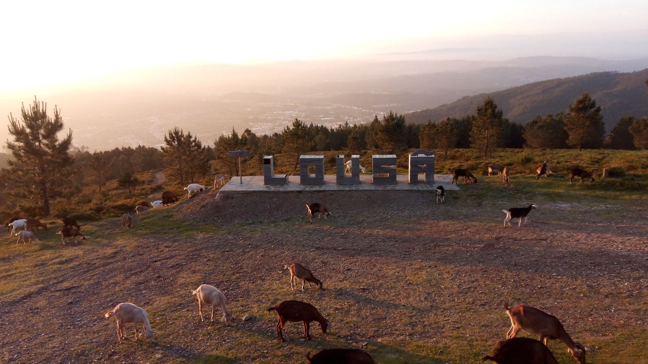 Photo of Outdoor in Lousa