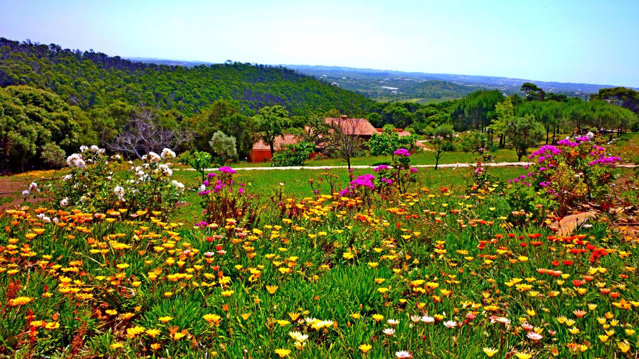 Photo of Outdoor in Barao de Sao Joao