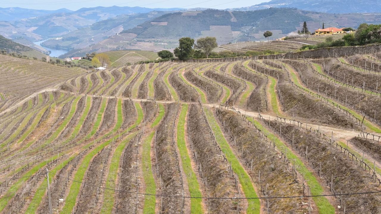 Photo of Outdoor in Peso da Regua