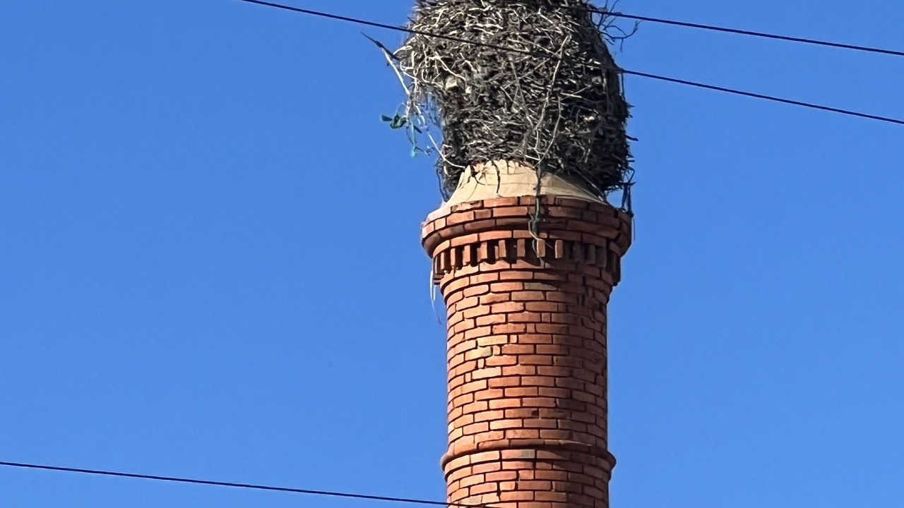 Photo of Outdoor in Olhao