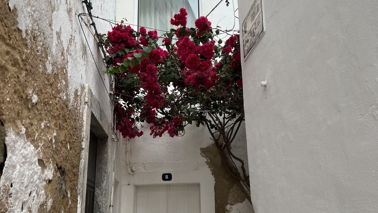 Photo of Outdoor in Olhao