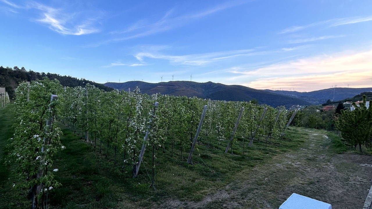 Photo of Outdoor in Lamego