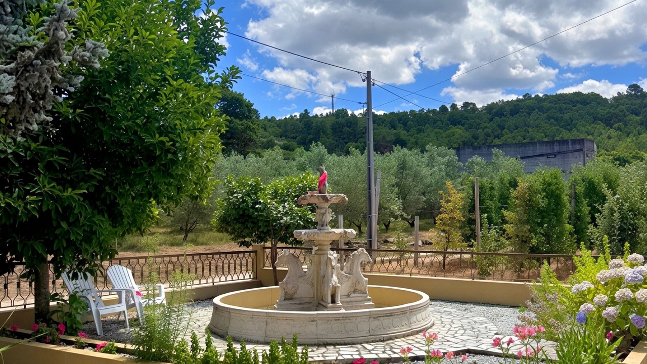 Photo of Outdoor in Lamego
