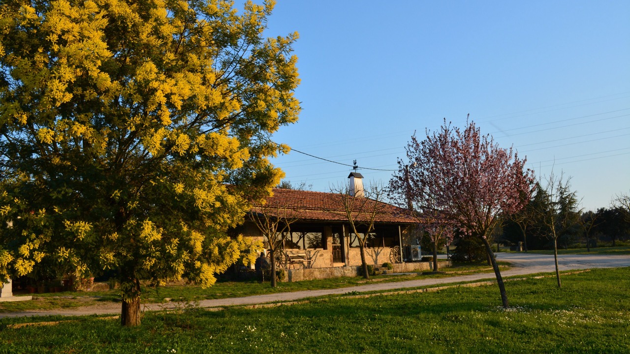 Photo of Outdoor in Celorico da Beira