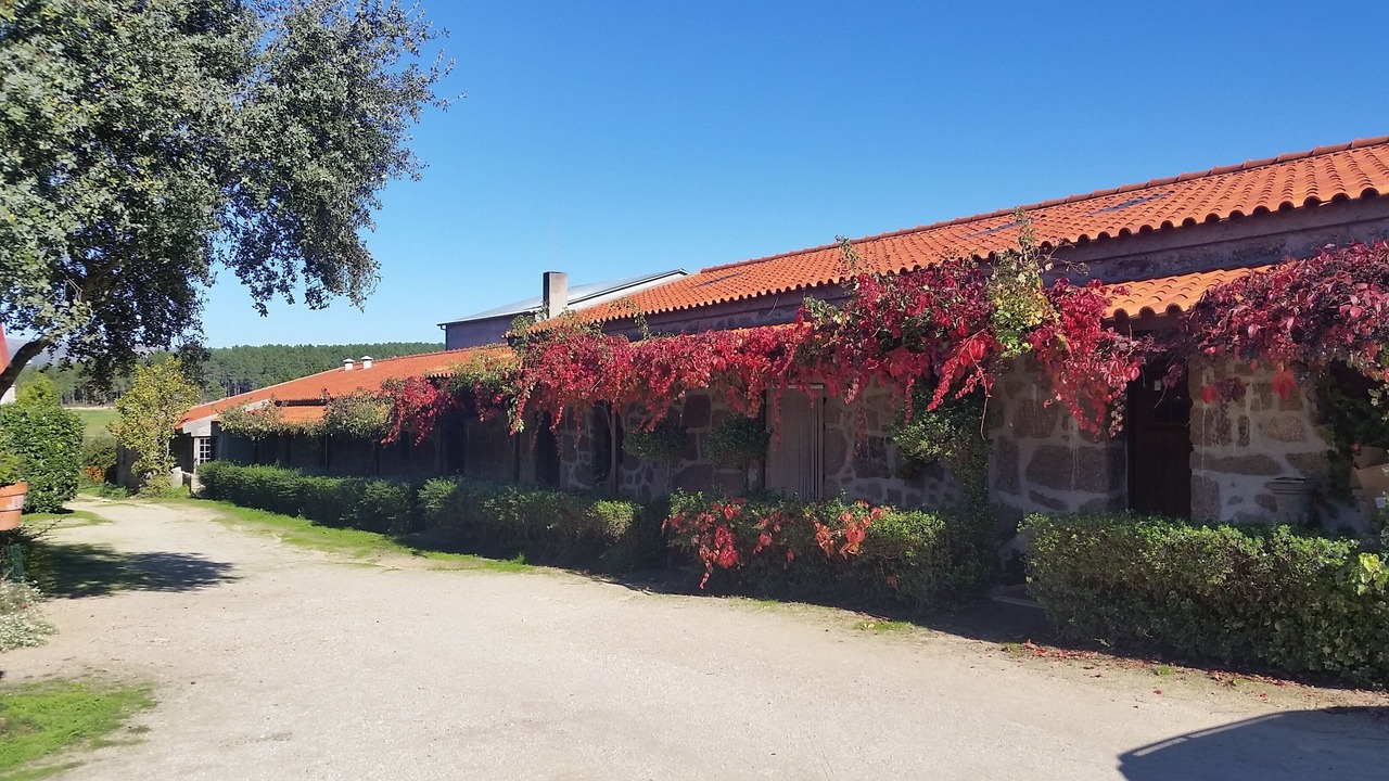 Photo of Outdoor in Celorico da Beira