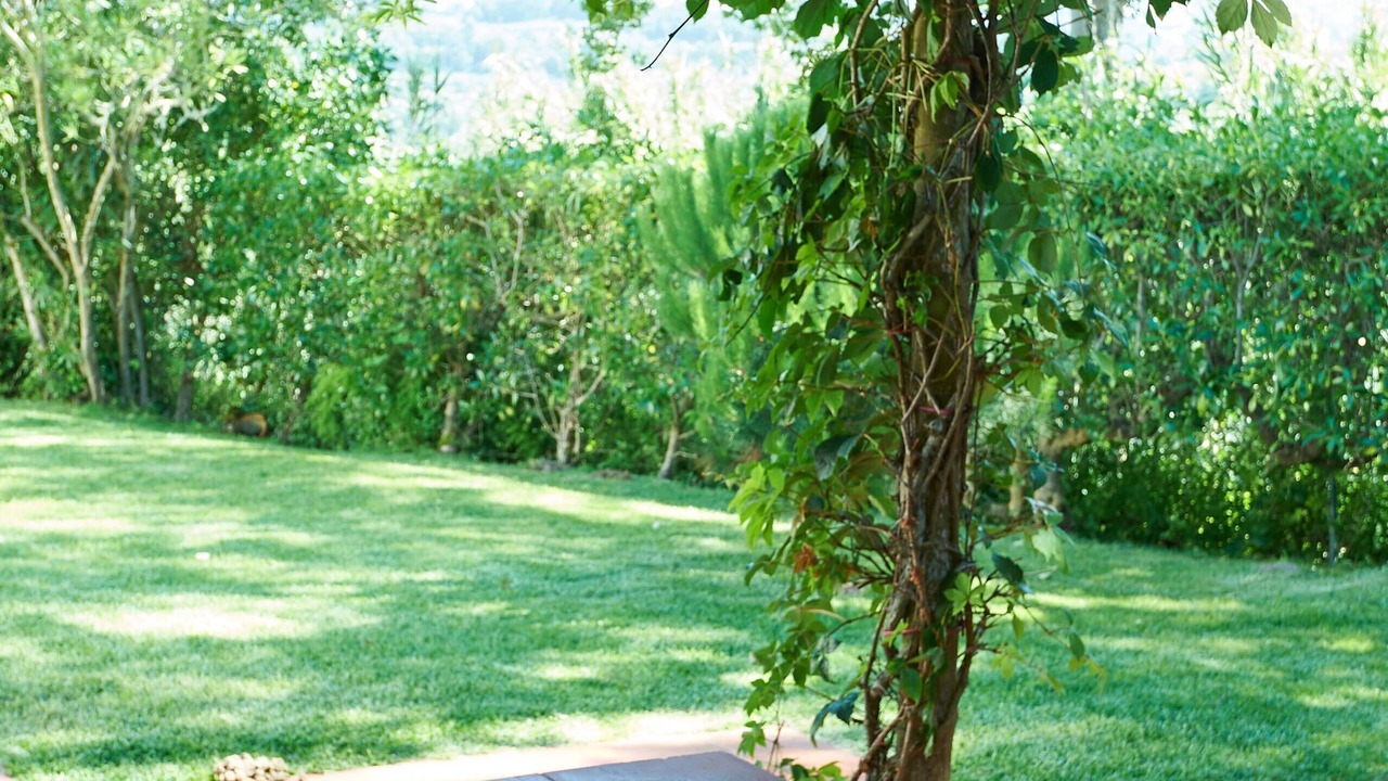 Photo of Patio Balcony in Banzao