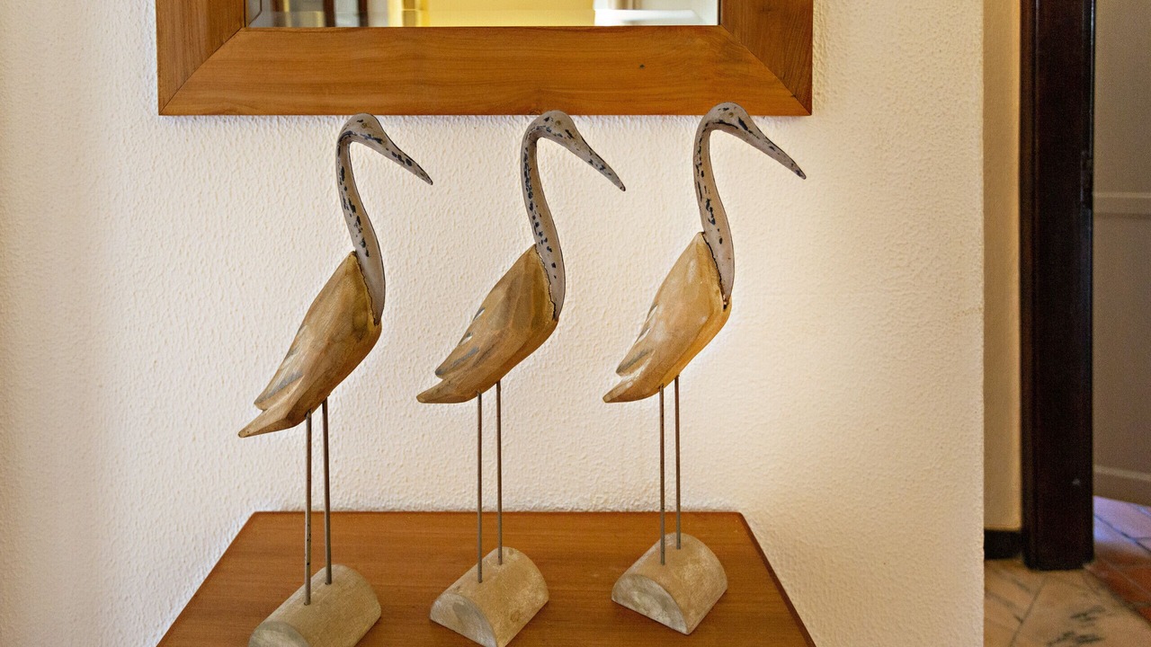 Photo of Others in Conceicao e Cabanas de Tavira