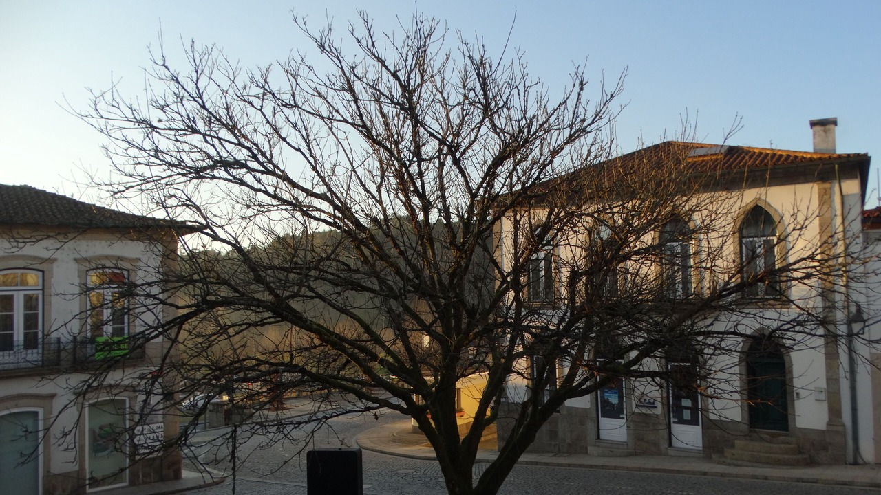 Photo of Outdoor in Bico