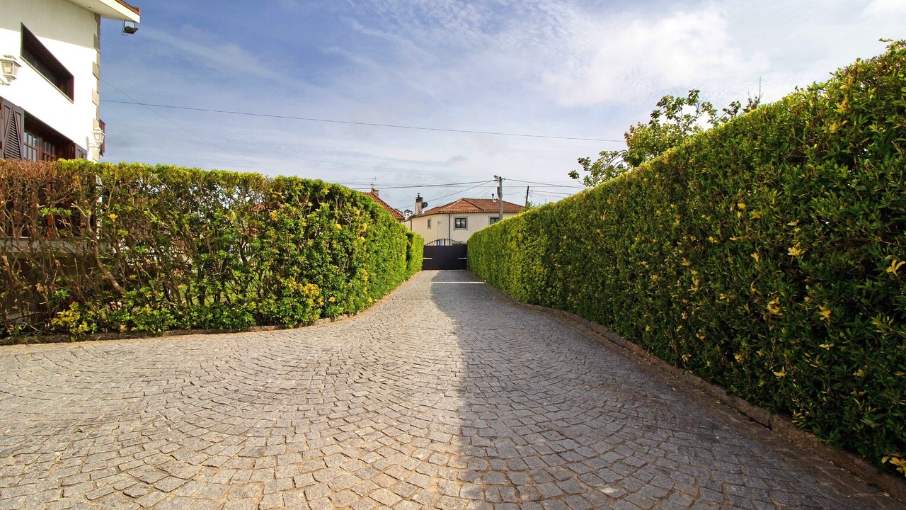 Photo of Outdoor in Esposende