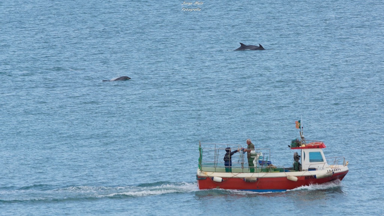 Photo of Others in Telheiro