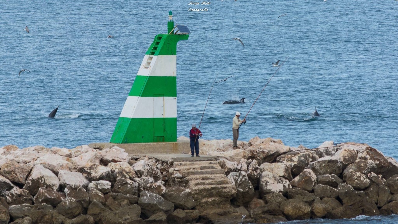 Photo of Others in Telheiro