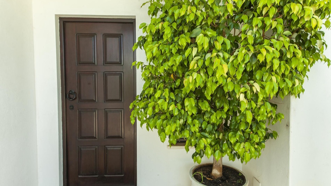 Photo of Outdoor in Lagos