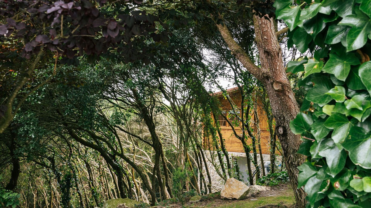 Photo of Outdoor in Reguengo Grande