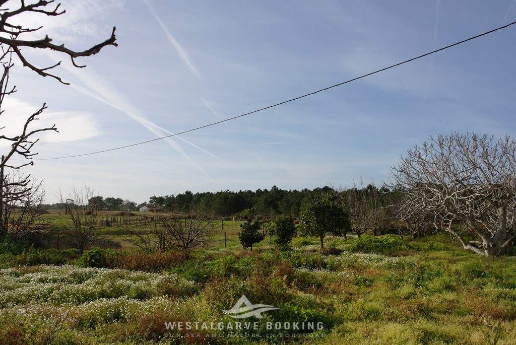Photo of Others in Cabeco de Aguia