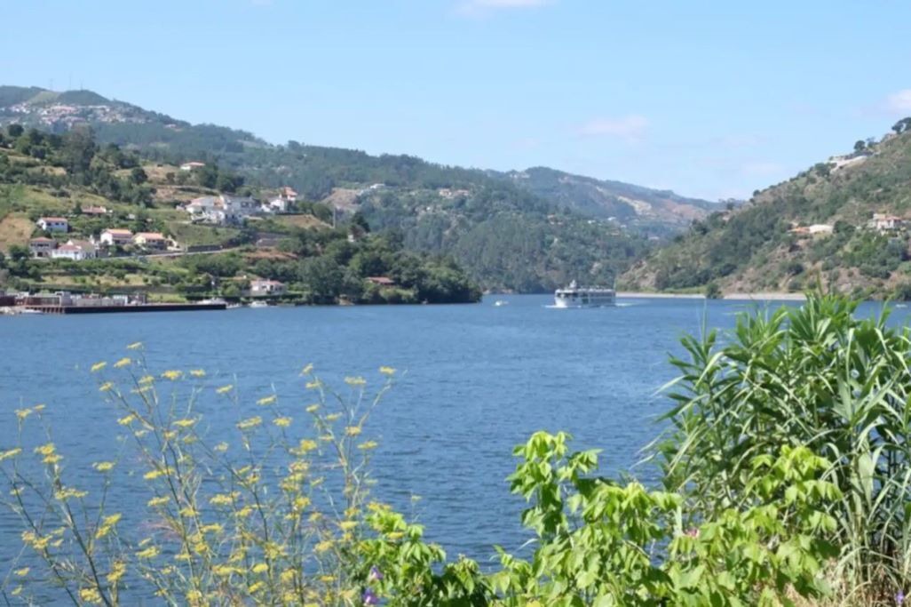 Photo of Others in Penha Longa