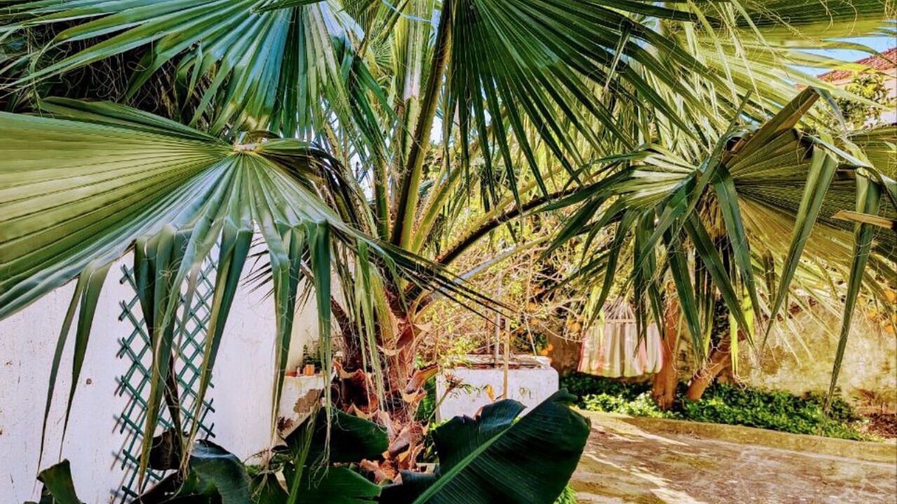 Photo of Outdoor in Sobral