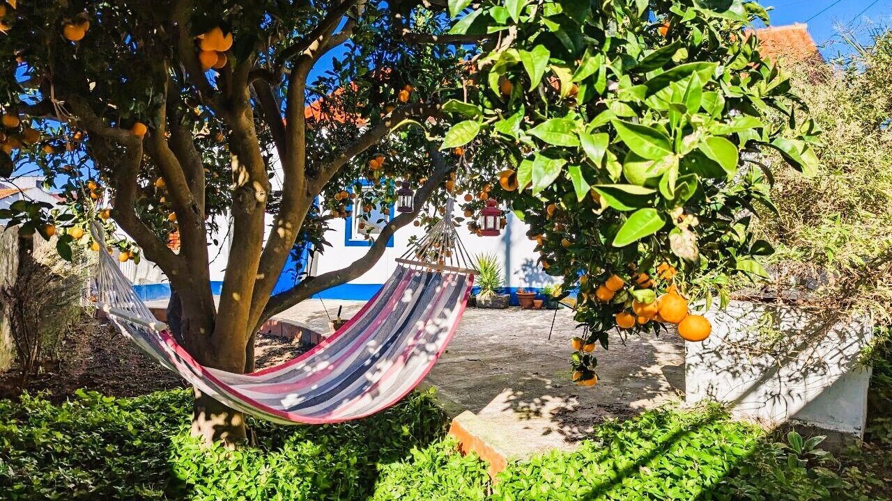 Photo of Outdoor in Sobral