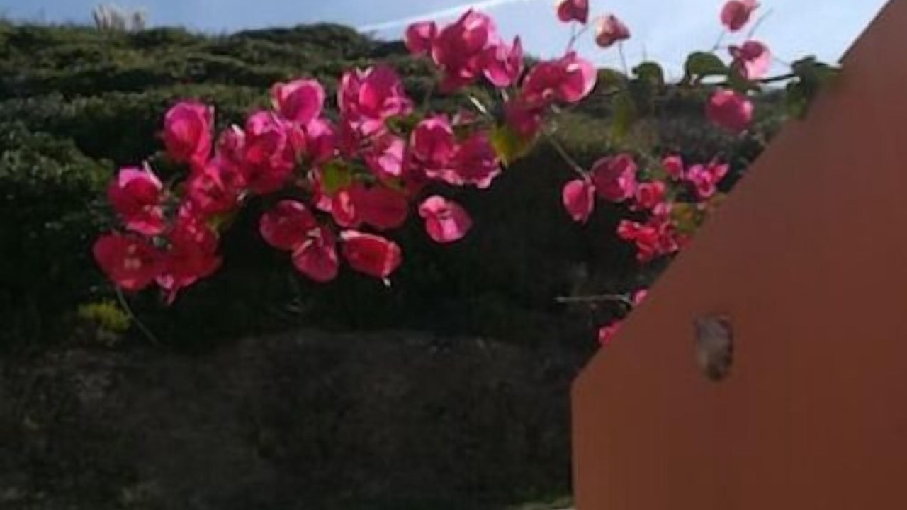 Photo of Outdoor in Serra da Pescaria