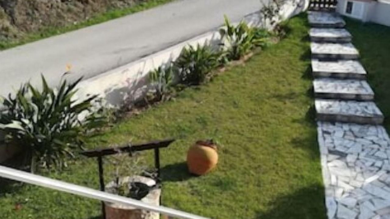 Photo of Outdoor in Serra da Pescaria