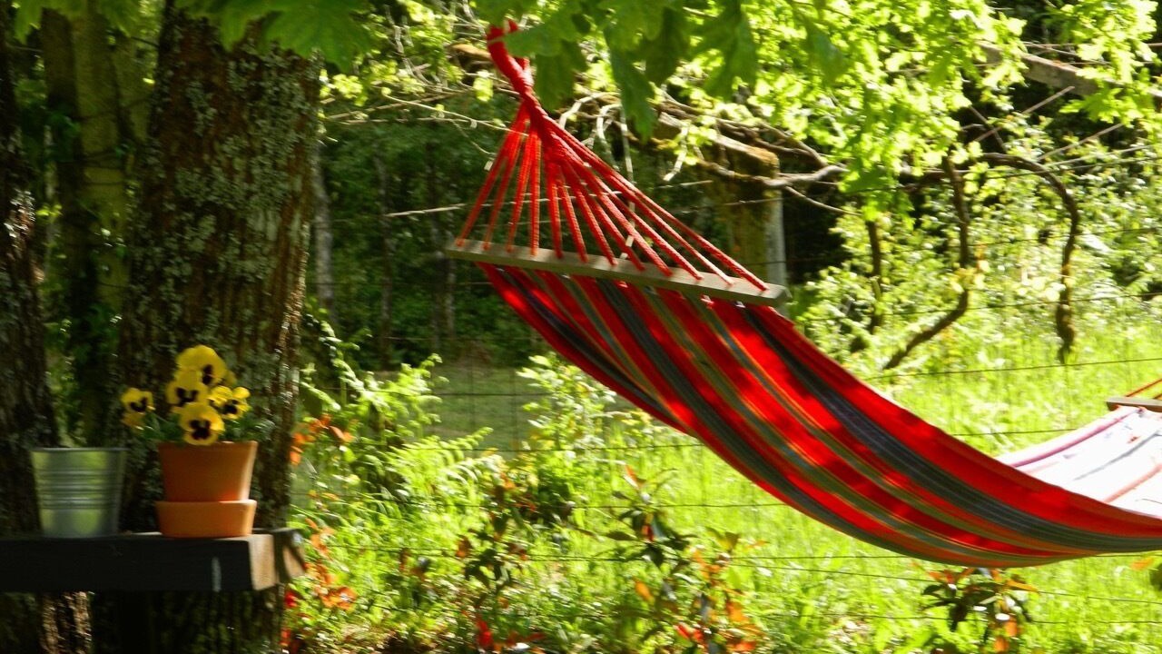 Photo of Outdoor in Arcos de Valdevez