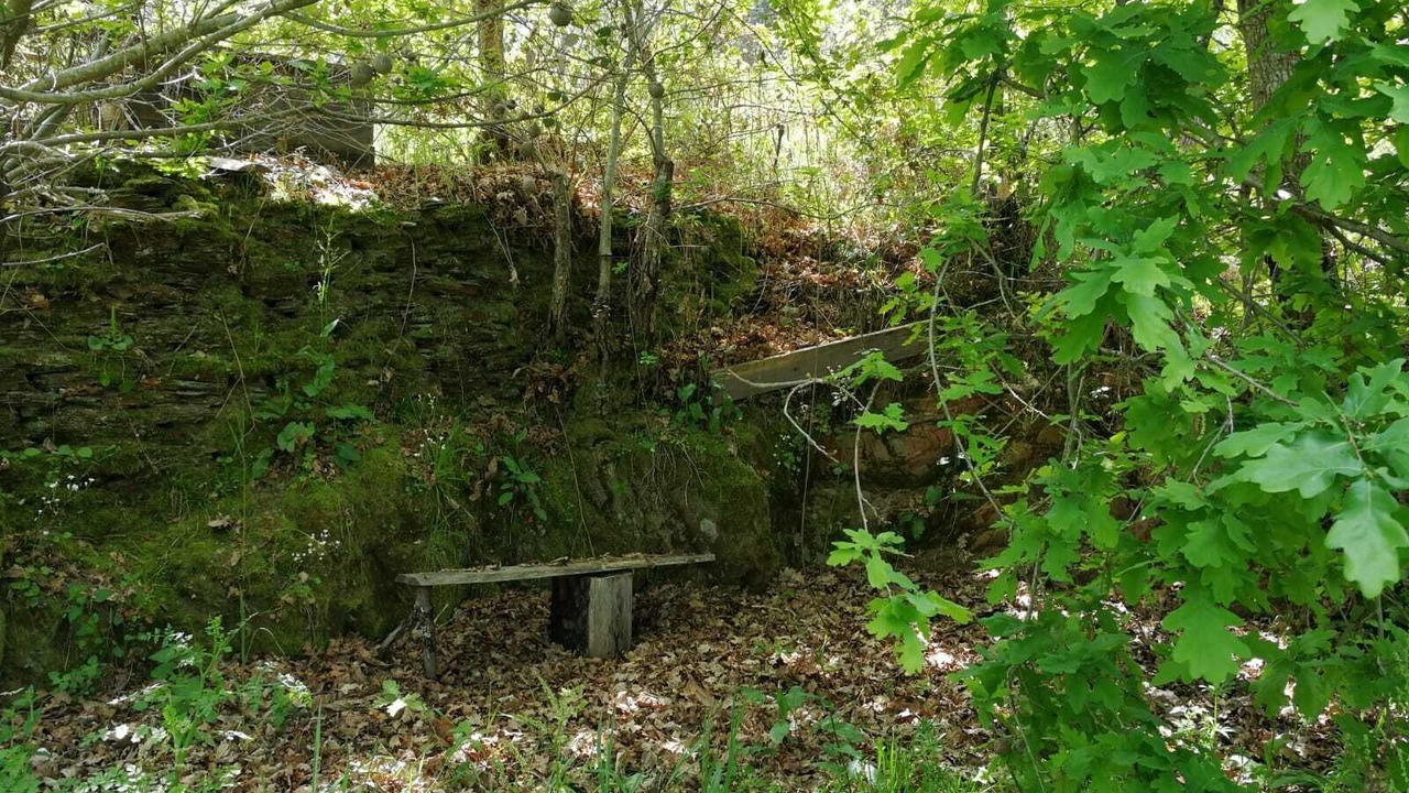 Photo of Outdoor in Moitas