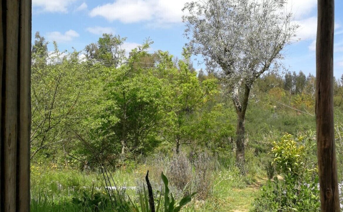 Photo of Outdoor in Moitas