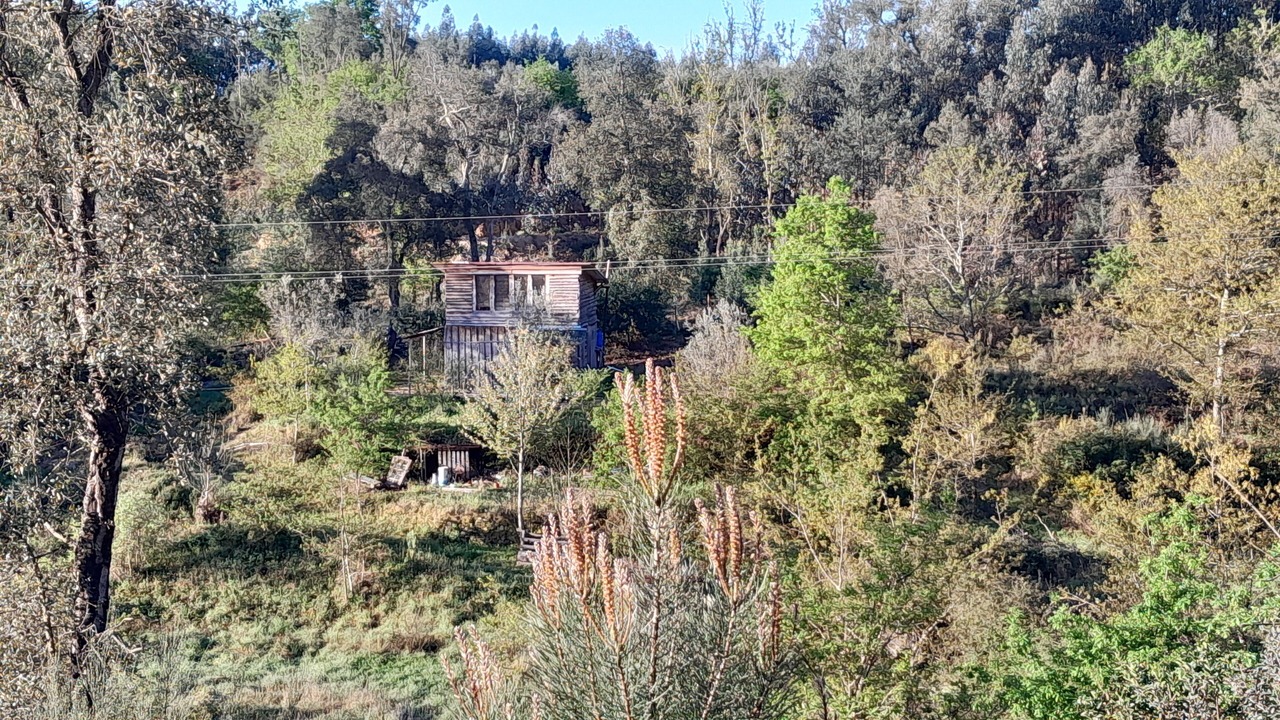 Photo of Outdoor in Moitas