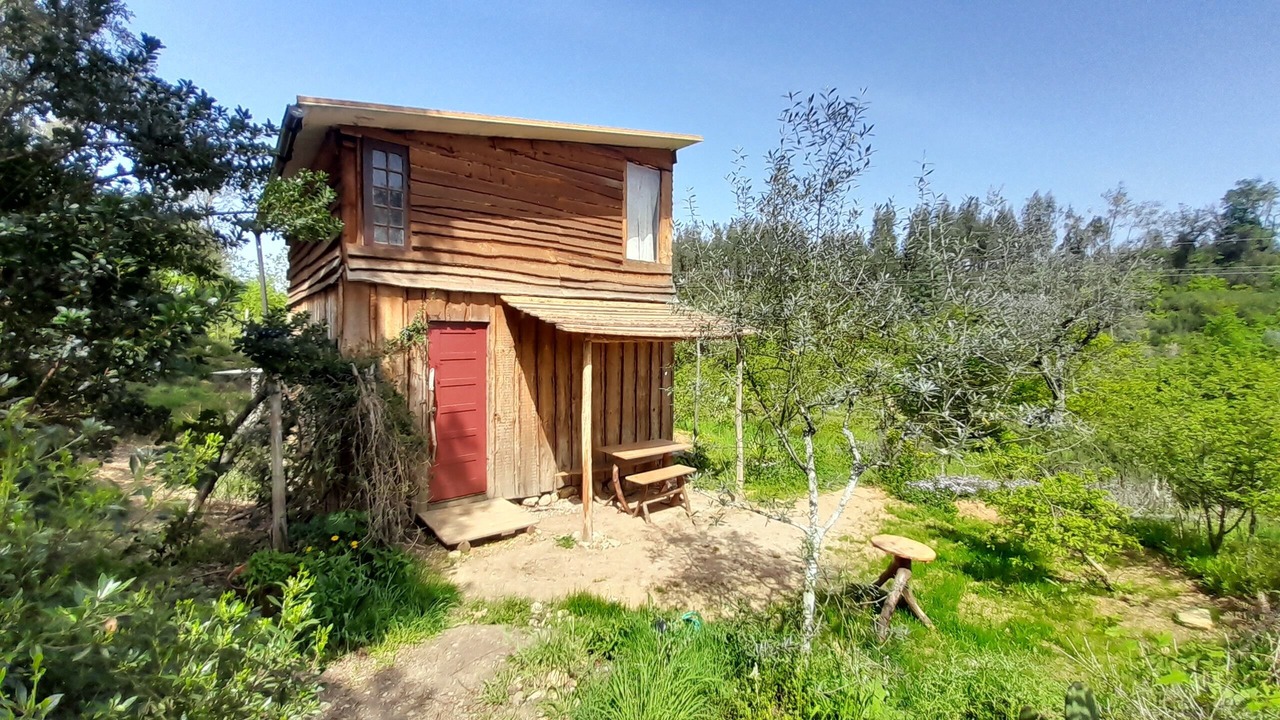 Photo of Outdoor in Moitas