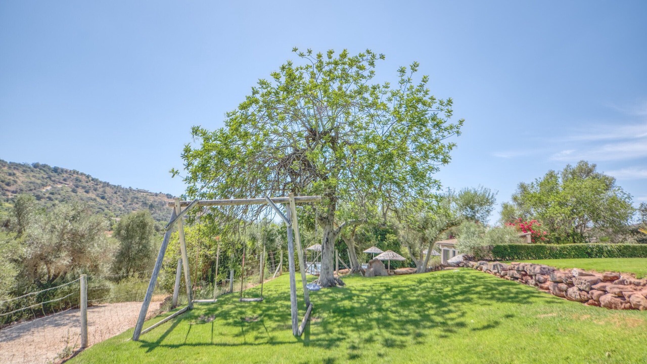 Photo of Outdoor in Silves