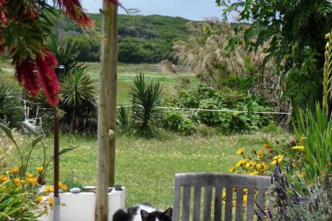 Photo of Outdoor in Cavaleiro