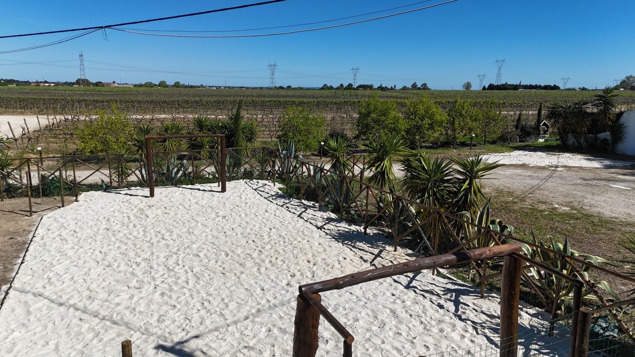 Photo of Outdoor in Palmela