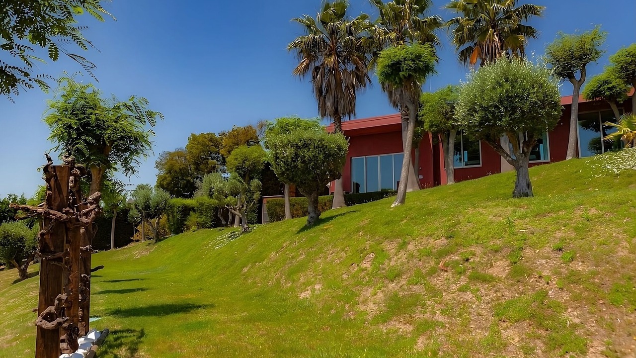 Photo of Outdoor in Ponte de Sor