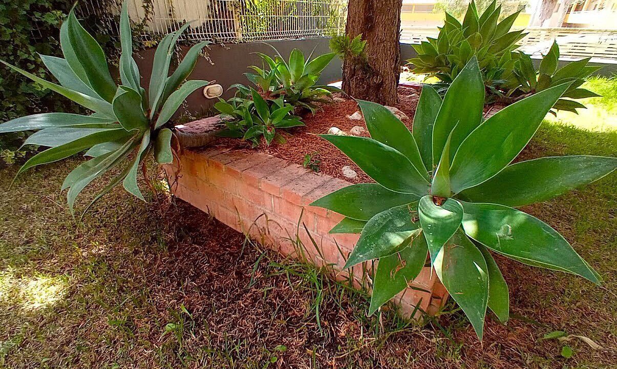 Photo of Outdoor in Faulha