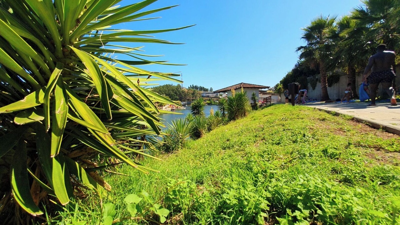 Photo of Outdoor in Figueiro dos Vinhos