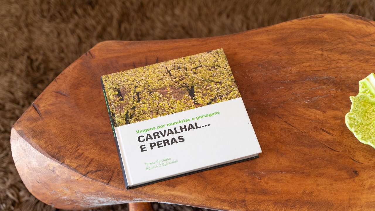 Photo of Others in Carvalhal