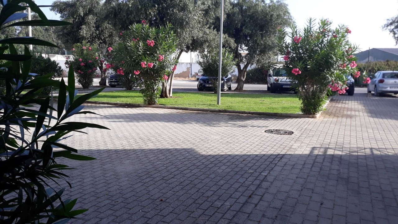 Photo of Outdoor in Alfa-Mar