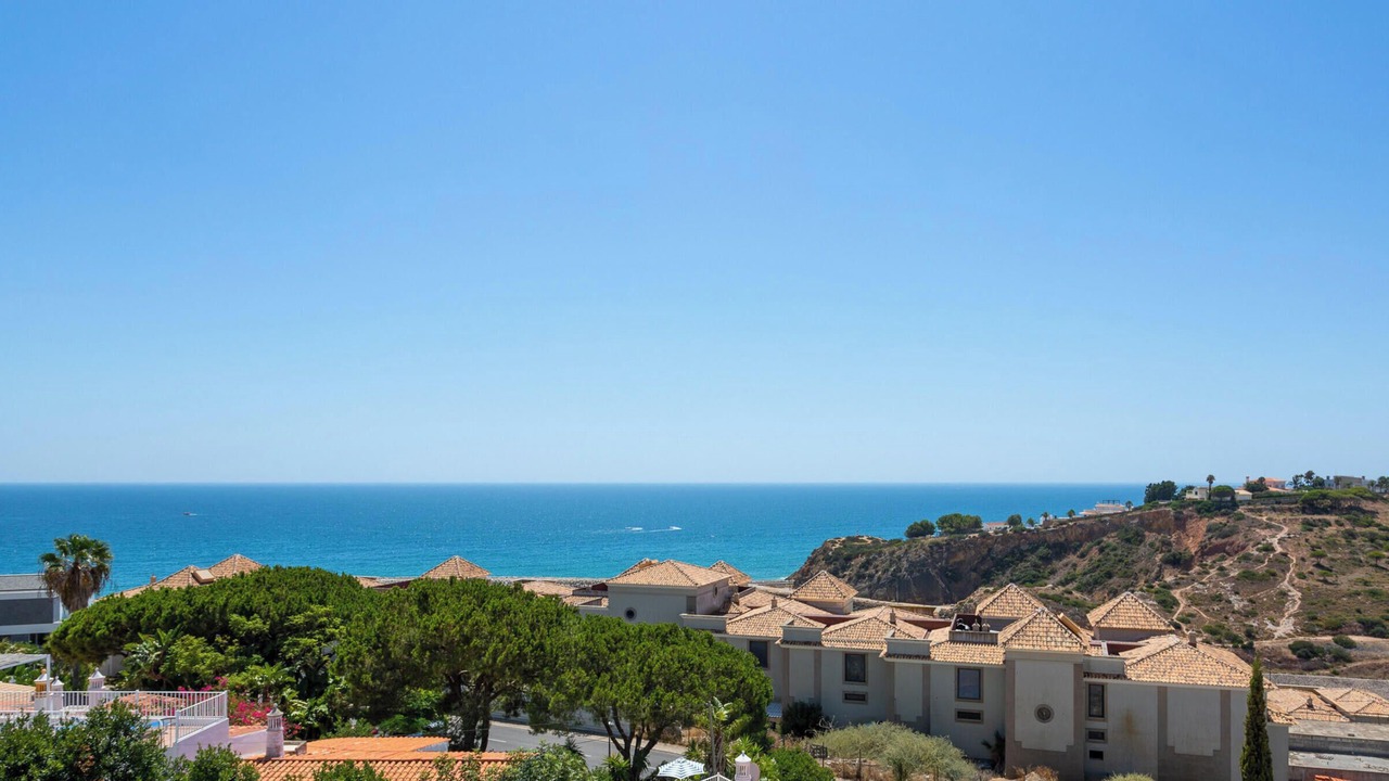 Photo of Outdoor in Calicos