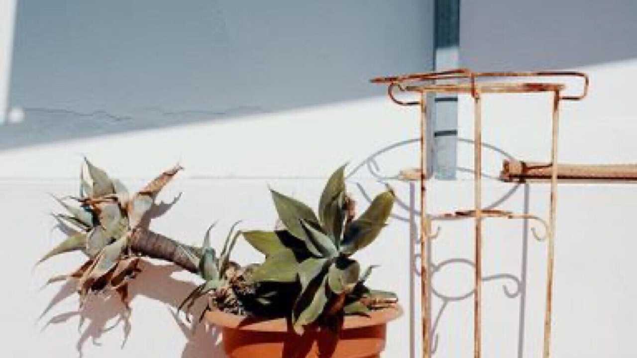 Photo of Outdoor in Fuseta