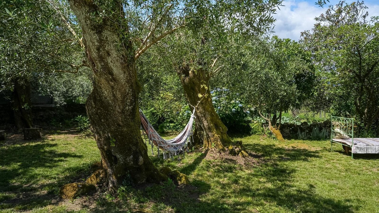 Photo of Outdoor in Ponte da Barca