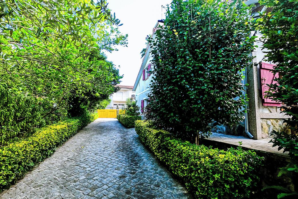 Photo of Outdoor in Santa Luzia