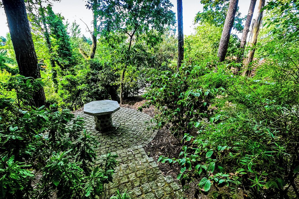 Photo of Outdoor in Santa Luzia