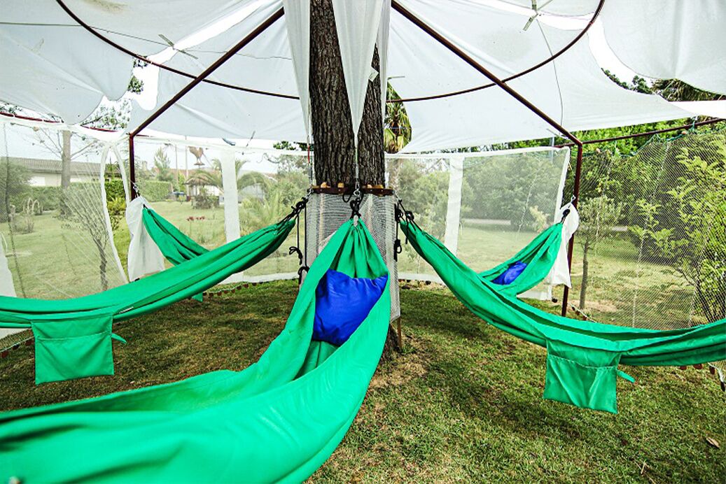 Photo of Outdoor in Santa Luzia