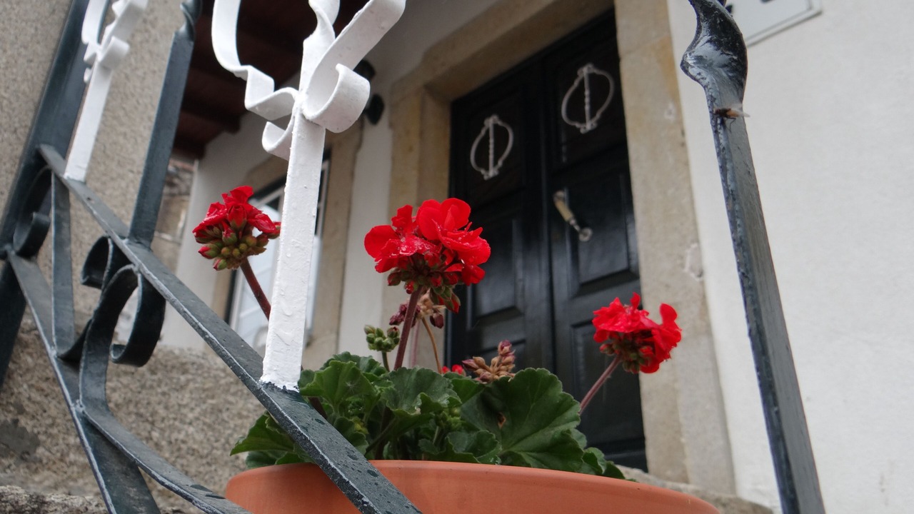 Photo of Outdoor in Seixo da Beira