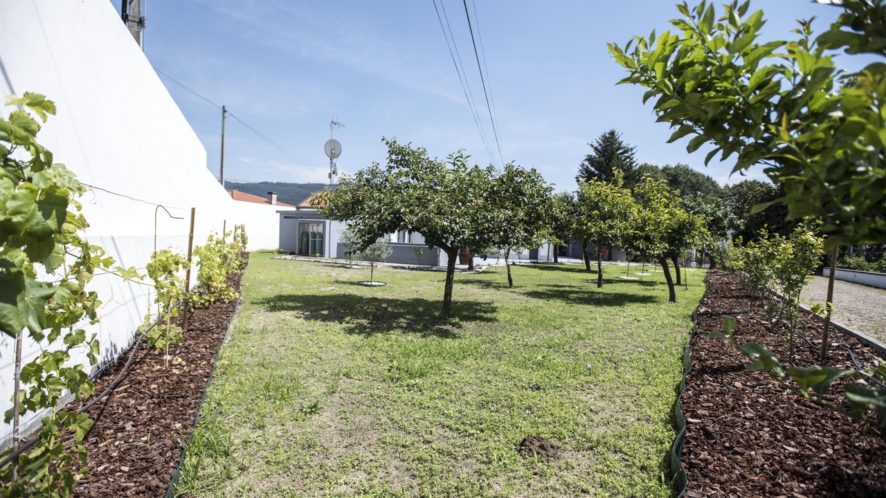 Photo of Outdoor in Portela