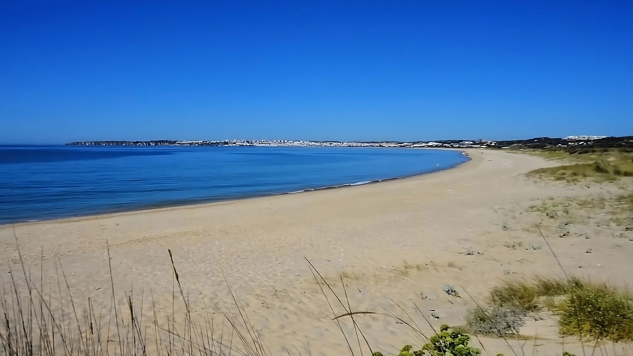 Photo of Others in Meia Praia
