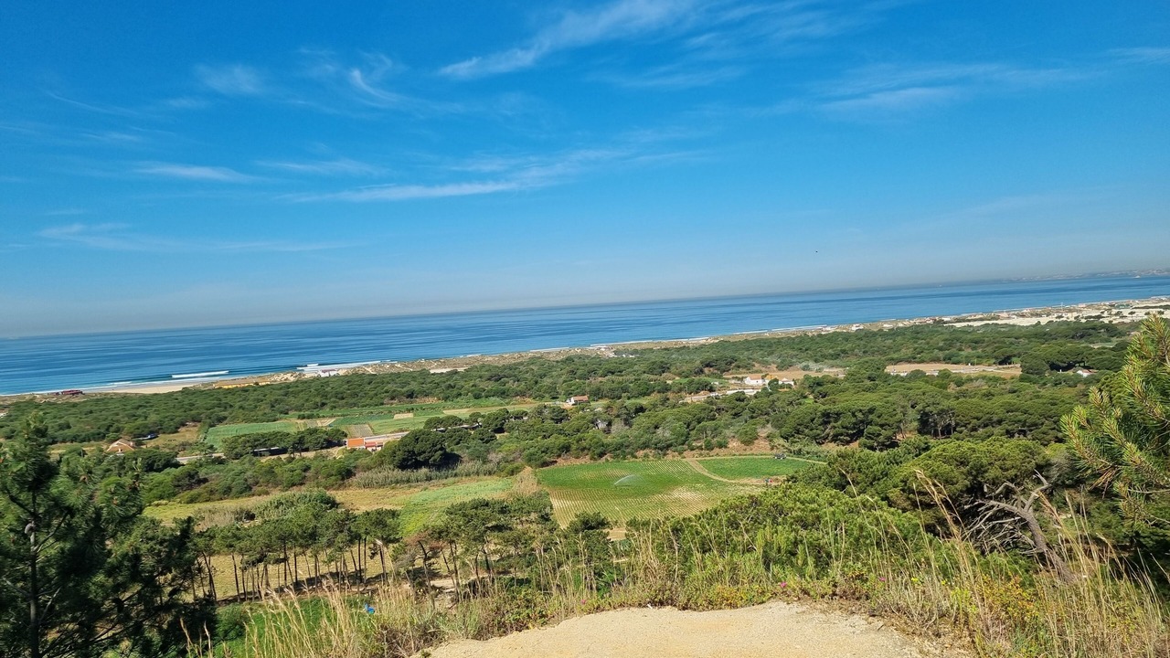 Photo of Others in Charneca de Caparica e Sobreda