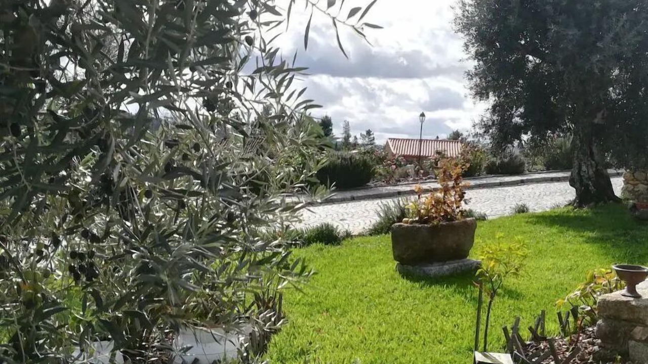 Photo of Outdoor in Insua