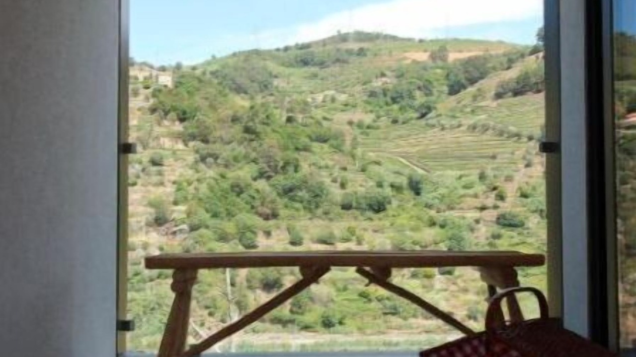 Photo of Others in Carregal do Sal